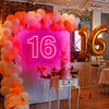 16th birthday neon light