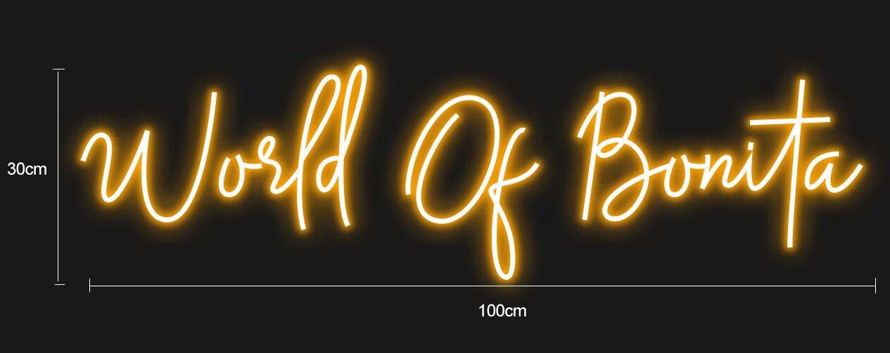 Custom  own led neon sign