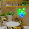 Epipremnum aureum model neon