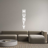 Custom neon sign H
U
N
T
Y