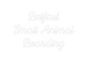 Custom neon sign Belfast 
Sma...