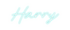 Custom neon sign Harry