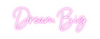 Custom neon sign Dream Big