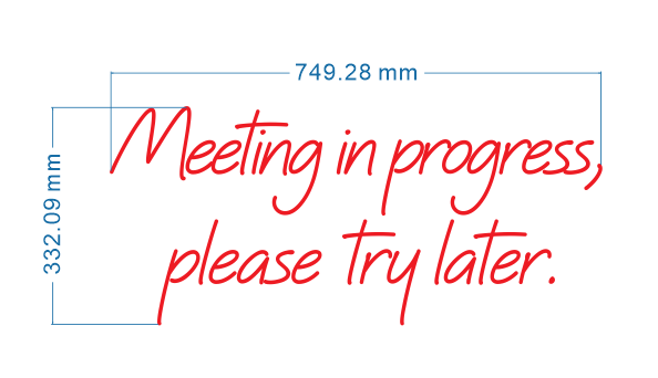 meeting in progress please try later